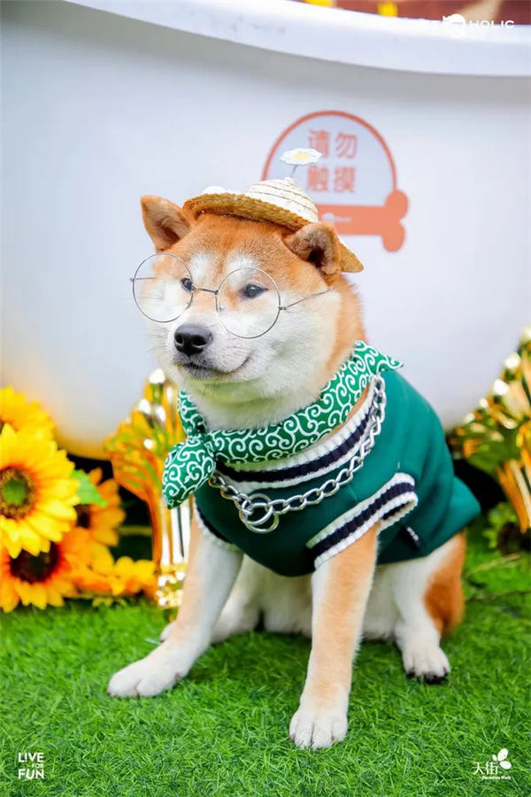 20220413100319_472.jpg 20220413100319_472.jpg