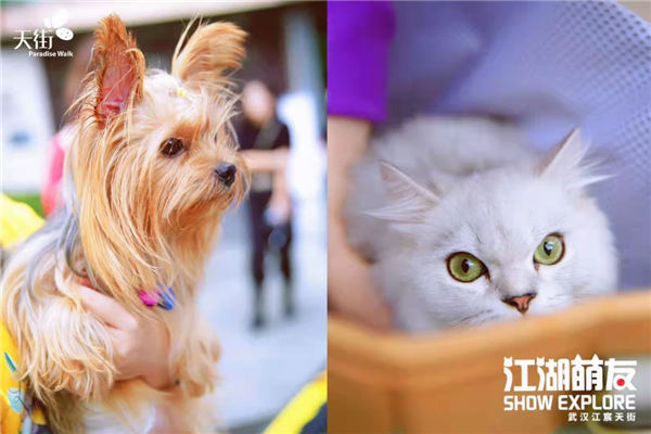 20220413100342_454.jpg 20220413100342_454.jpg